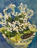 Potted Primrose by JoAnne Chittick